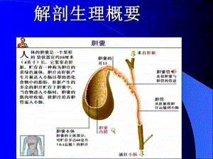 胆道疾病1文档资料.ppt