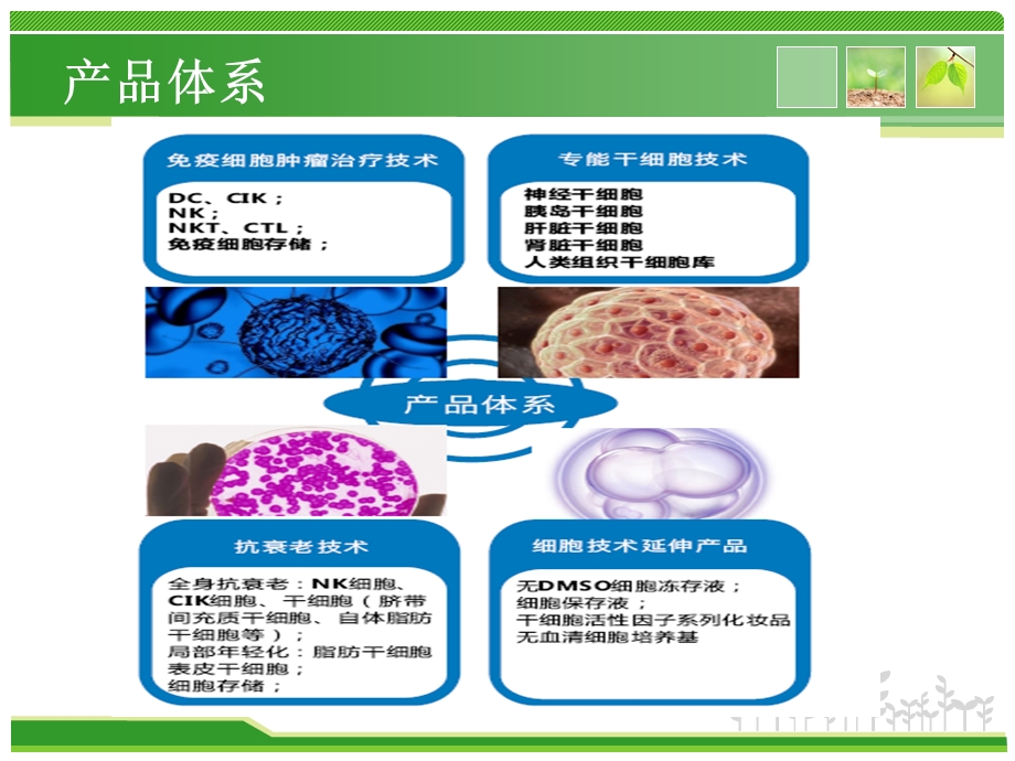 莱恩生物干细胞储存文档资料.pptx_第2页