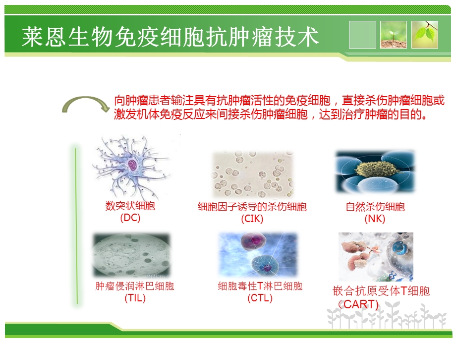 莱恩生物干细胞储存文档资料.pptx_第3页