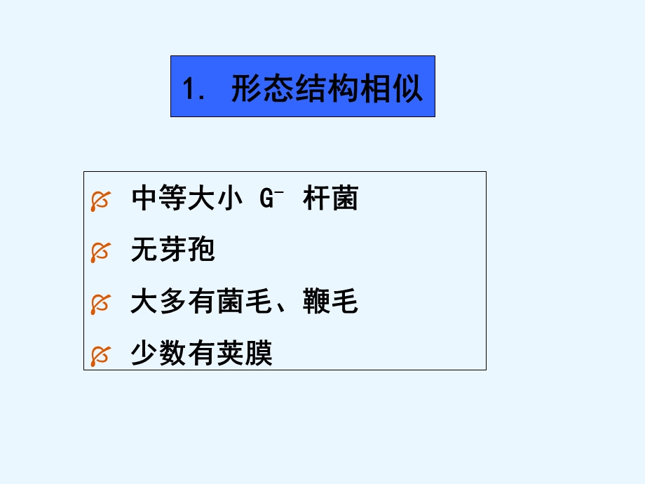 10肠道感染性细菌PPT课件.ppt_第3页