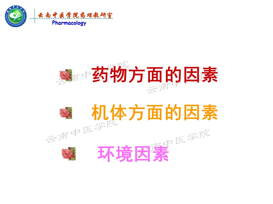 影响药物效应因素药理学文档资料.ppt_第2页