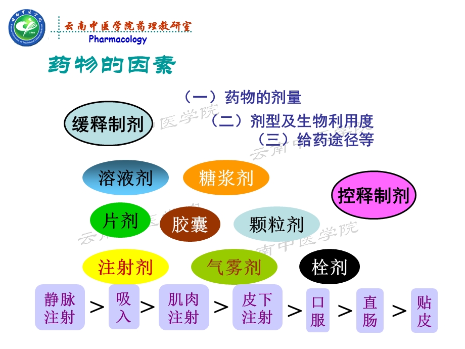 影响药物效应因素药理学文档资料.ppt_第3页