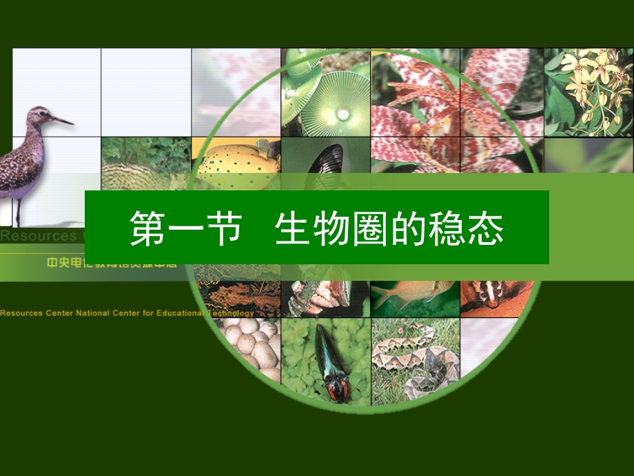 第一节生物圈的稳态名师编辑PPT课件.ppt_第1页