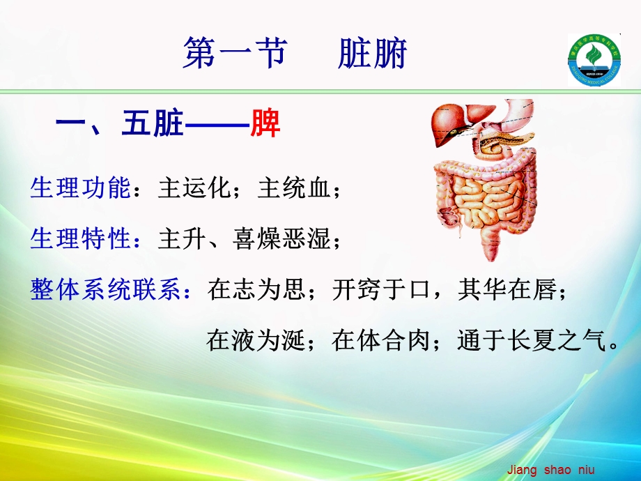 最新藏象脾肝肾、六腑PPT文档.ppt_第2页