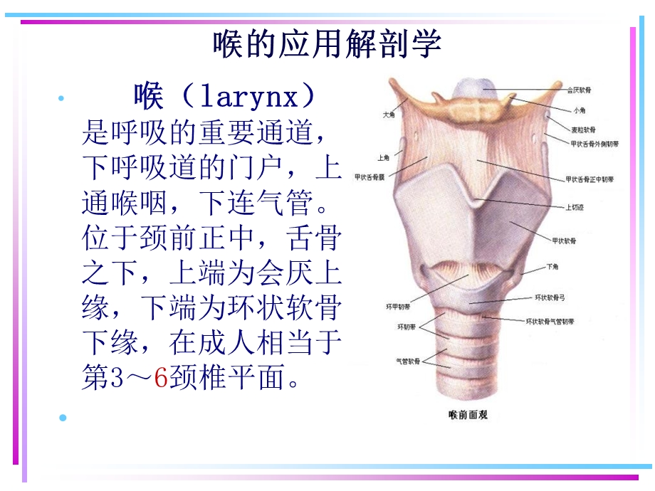 喉的应用解剖学及生理学PPT文档资料.ppt_第1页