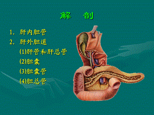 最全十大名校外科学3PPT文档.ppt