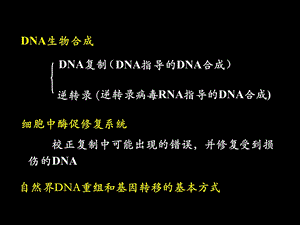 DNA的生物合成和损伤修复精选文档.ppt