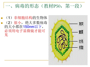 最新病毒——非细胞形态的生物PPT文档.ppt