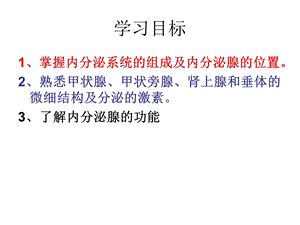 北卫内分泌系统PPT文档资料.ppt