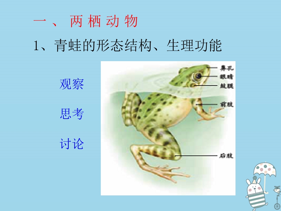 辽宁省凌海市八年级生物上册5.1.5两栖动物和爬行动物课件新版新人教版.pptx_第2页