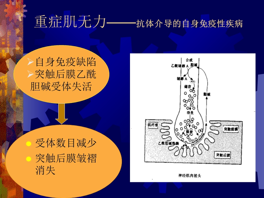 神经肌肉疾病患者的麻醉、讲课ppt精选文档.ppt_第1页