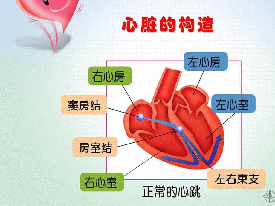 心电监护中心律失常的处理及护理,,ppt课件PPT文档.ppt_第1页