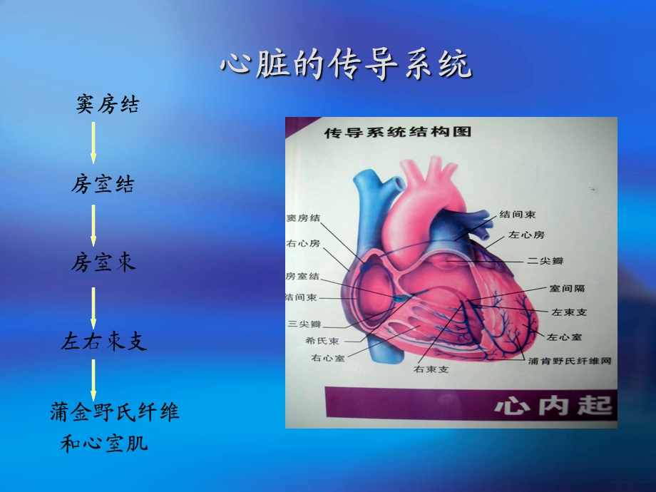 心电监护中心律失常的处理及护理,,ppt课件PPT文档.ppt_第3页