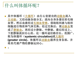 体循环的解剖精选文档.ppt