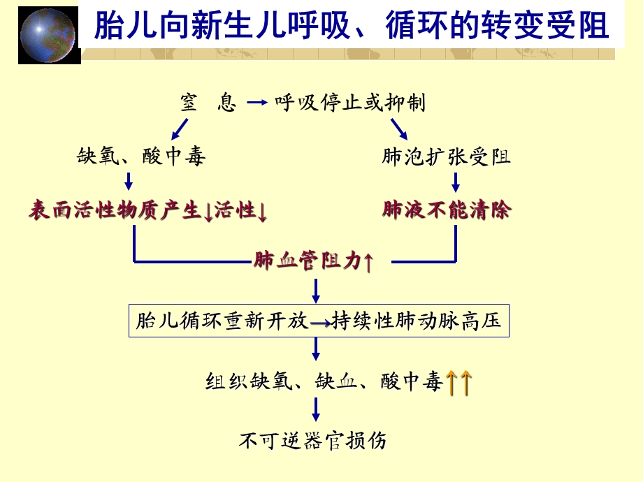 最新新生儿及新生疾病3PPT文档.ppt_第1页