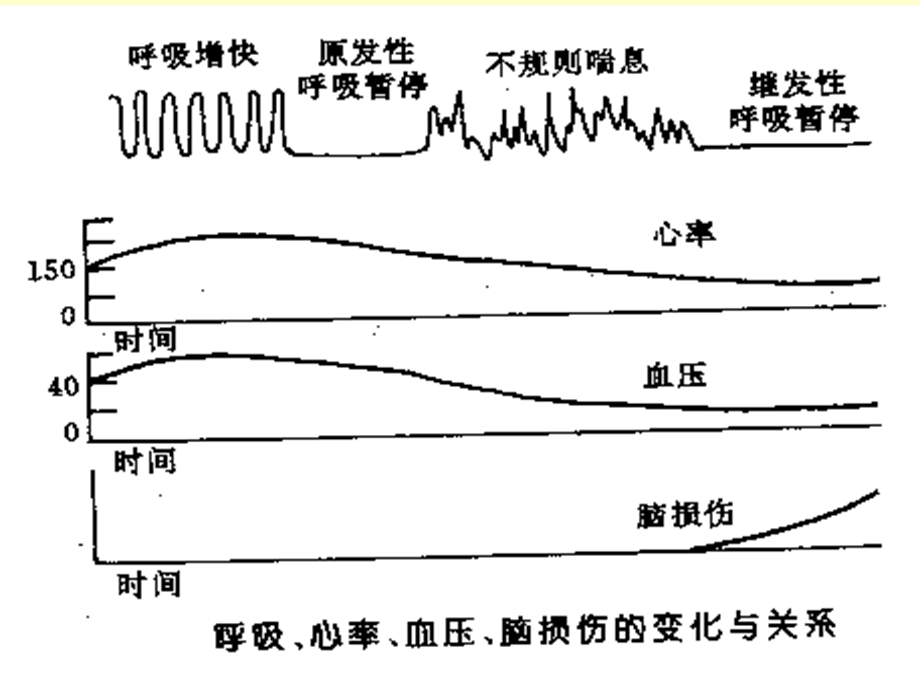 最新新生儿及新生疾病3PPT文档.ppt_第3页