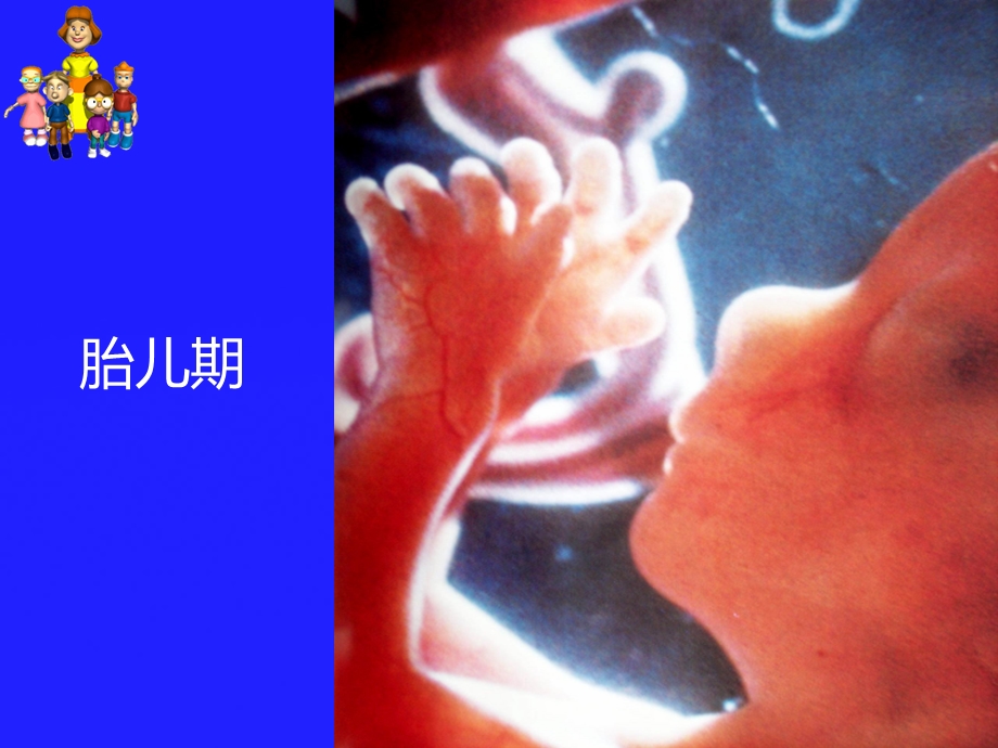 最新孕妇在妊娠期持续不良心情和精神状态可导致胎儿发育异常PPT文档.ppt_第3页