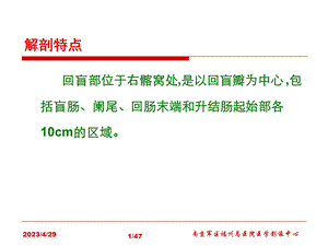 回盲部常见疾病及影像学表现文档资料.ppt