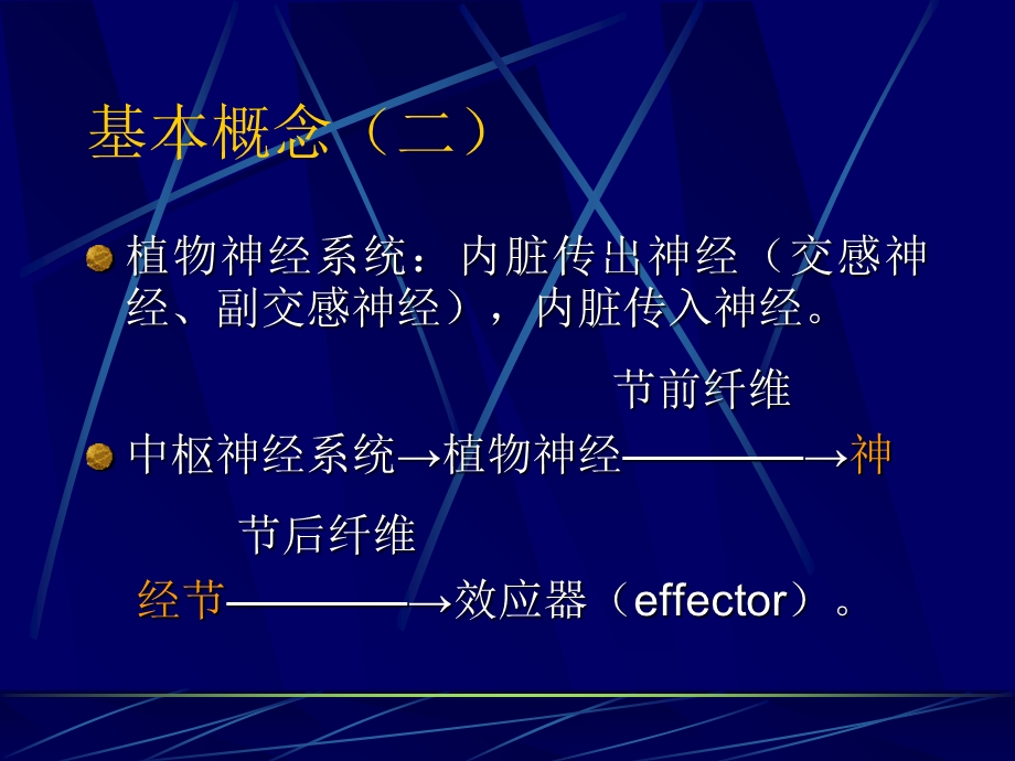 传出神经系药理学概论PPT课件.ppt_第2页
