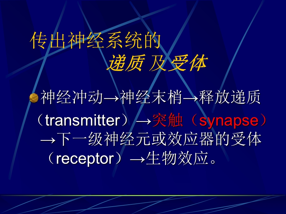 传出神经系药理学概论PPT课件.ppt_第3页