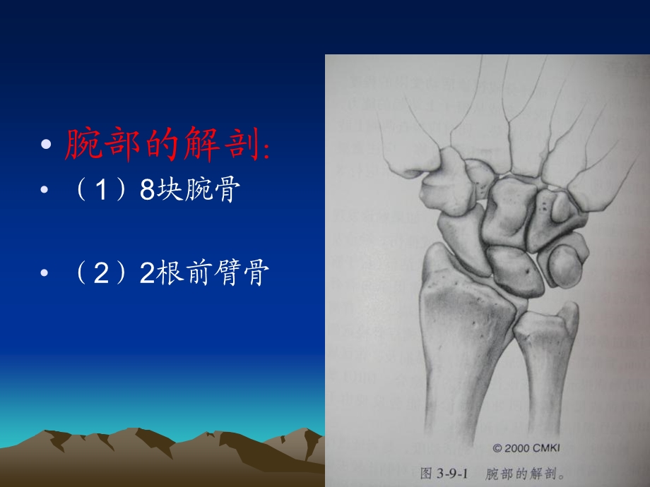 桡骨远端骨折的诊疗PPT文档.ppt_第2页