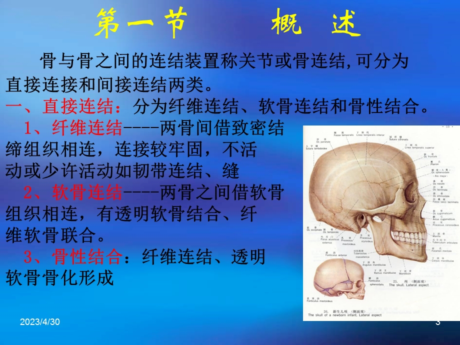 5关节肌学概述PPT文档.ppt_第3页