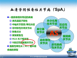 最新：SpA骶髂关节炎的影像学诊断和鉴别诊断课件文档资料.ppt