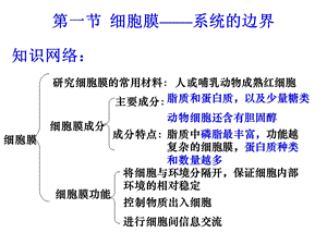 最新第三章细胞的基本结构复习PPT文档.ppt