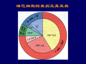 最新第08章：淋巴细胞PPT文档.ppt