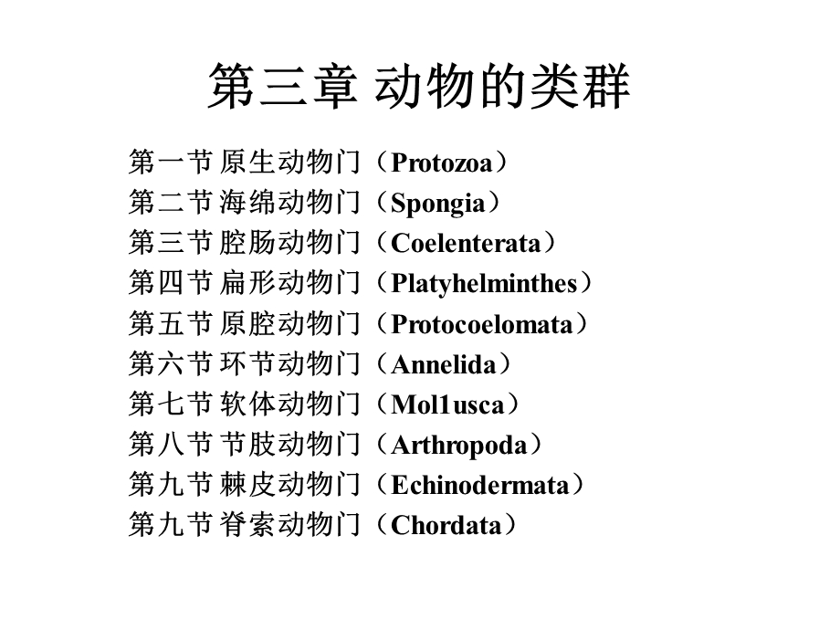 第三章动物的类群课件名师编辑PPT课件.ppt_第1页