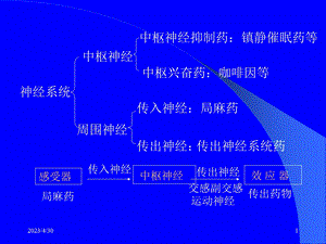 药理学传出神经系统药理概论文档资料.ppt