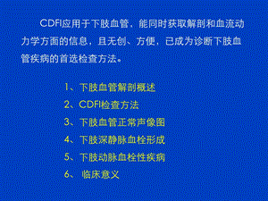 最新：CDFI在下肢血管血栓性疾病诊断中的应用课件文档资料.ppt