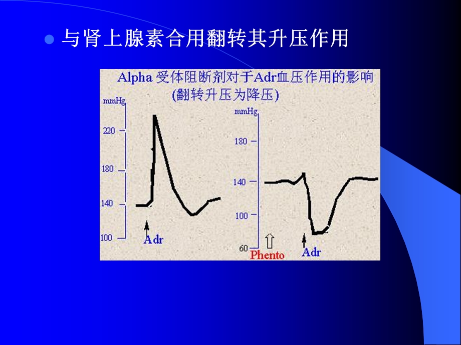 最新药理学抗肾上腺素药PPT文档.ppt_第3页