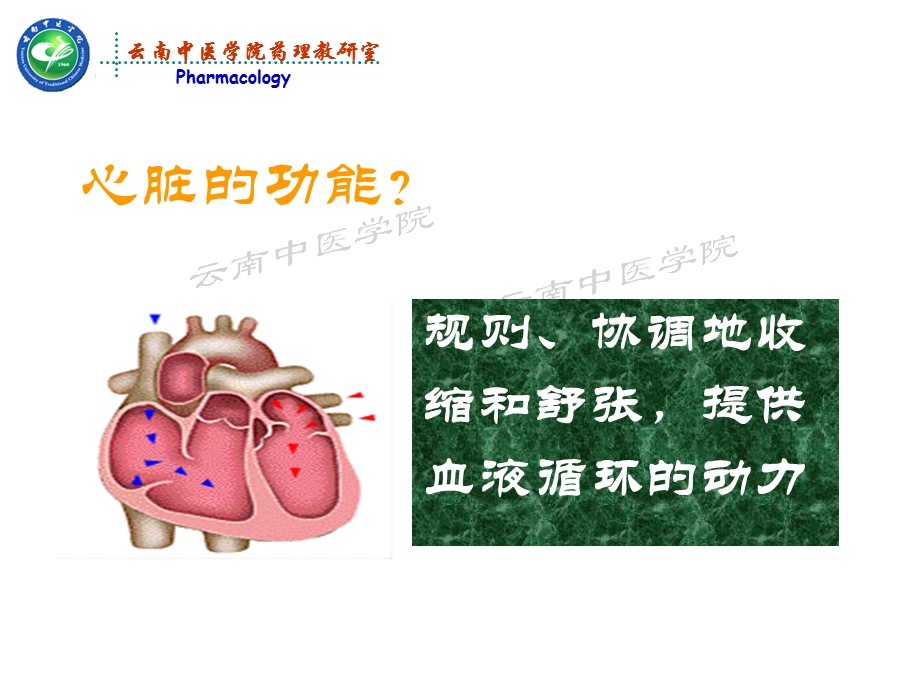 抗慢性心功能不全药药理学课件PPT文档.ppt_第2页