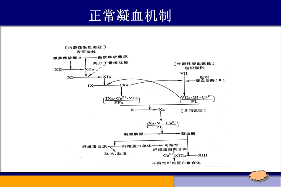 1重症感染、DIC诊断与治疗1021枣阳讲座2.ppt_第3页