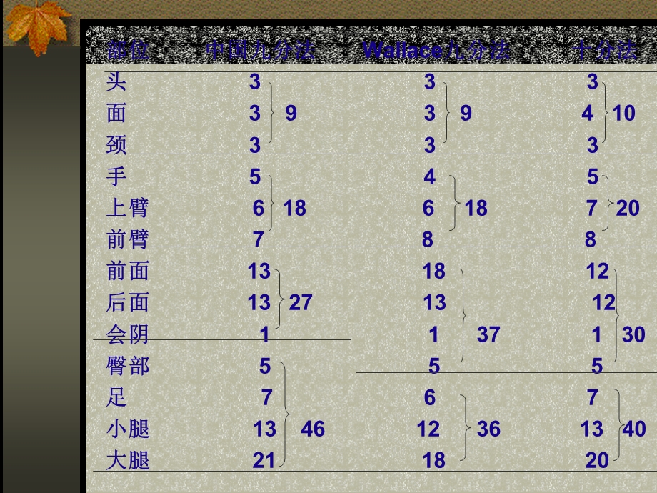 烧伤临床解析精选文档.ppt_第3页