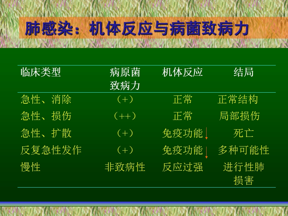 抗生素在肺部感染中的应用文档资料.ppt_第3页