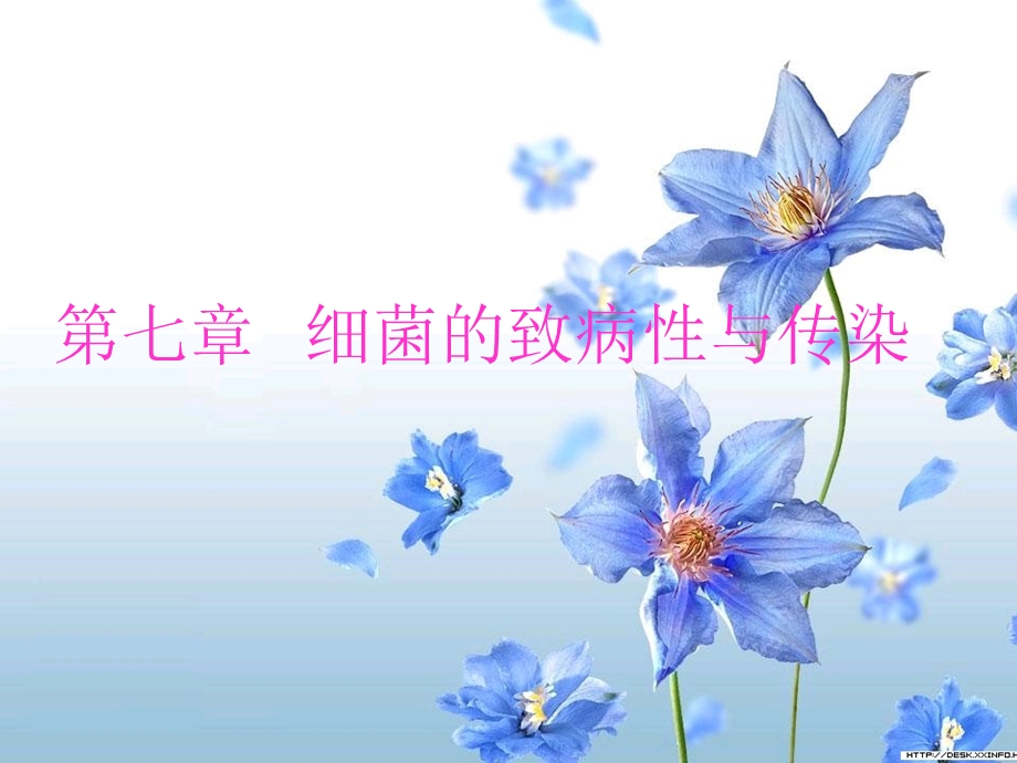 第七章细菌的致病性与传染名师编辑PPT课件.ppt_第1页