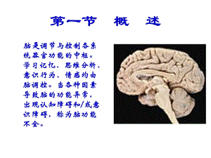 病理生理学网络课第18章脑功能不全课件PPT文档.ppt