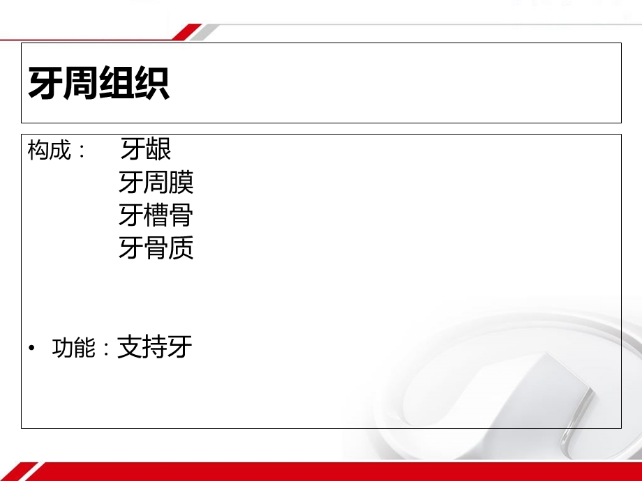 牙周组织的解剖生理精选文档.ppt_第1页