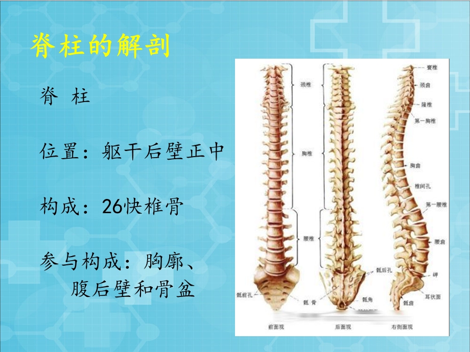 最新：院前脊椎损伤的急救ppt课件文档资料.pptx_第2页