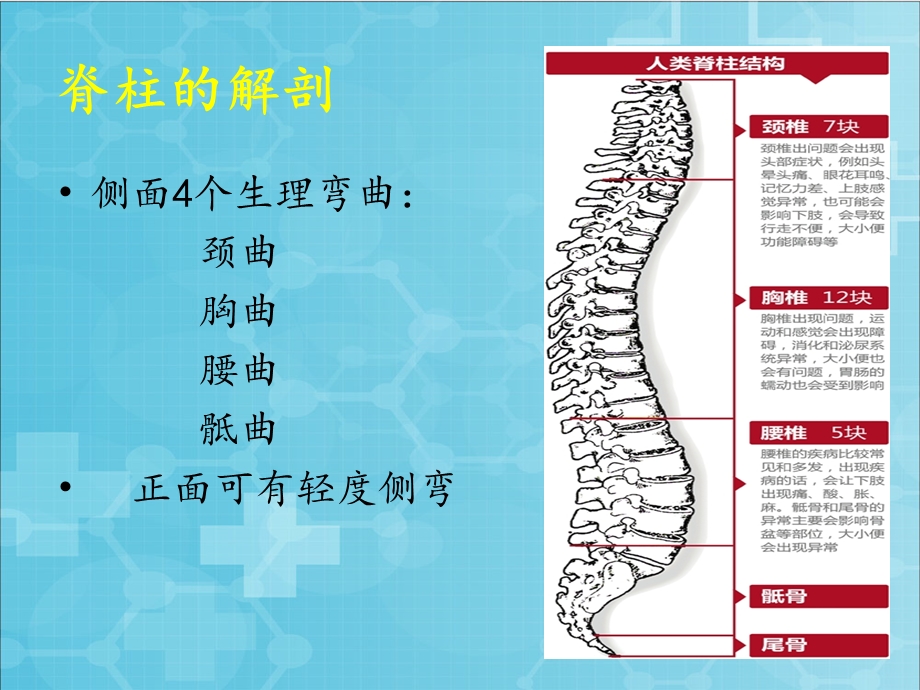 最新：院前脊椎损伤的急救ppt课件文档资料.pptx_第3页