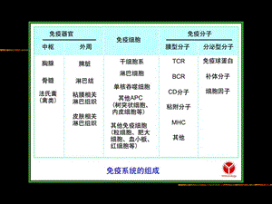 最新2吞噬细胞和T细胞PPT文档.ppt