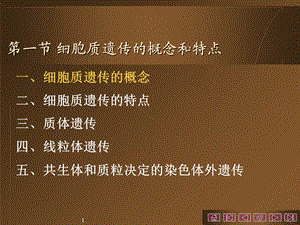 最新第六章细胞质遗传PPT文档.ppt