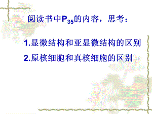 最新细胞结构李绒PPT文档.ppt