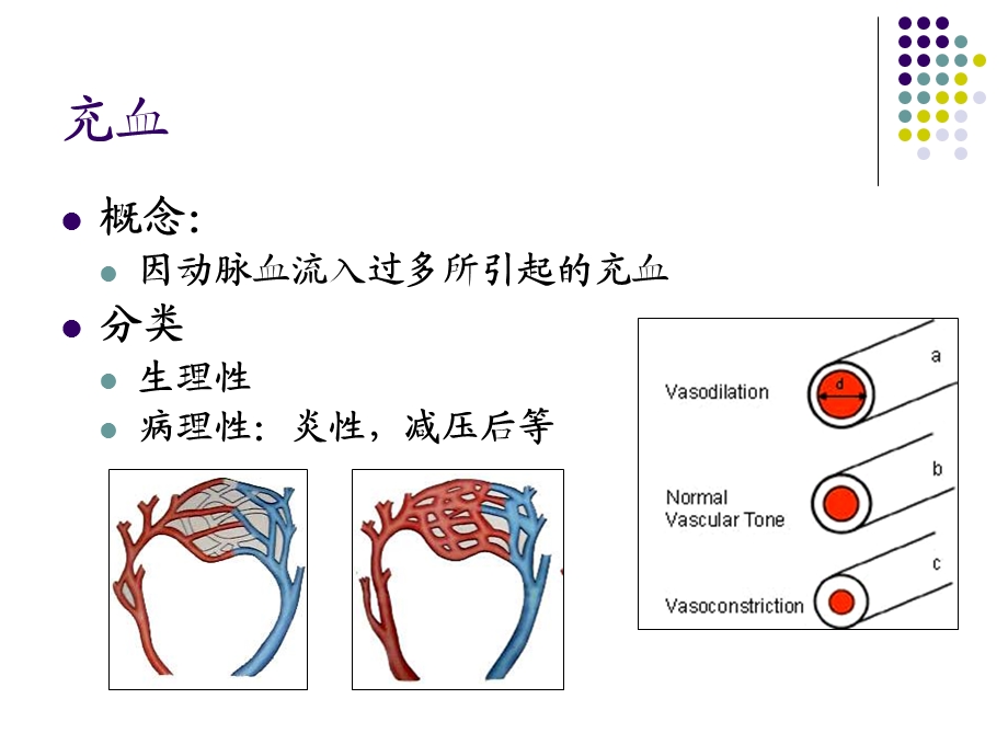 4血液循环newPPT课件.ppt_第2页