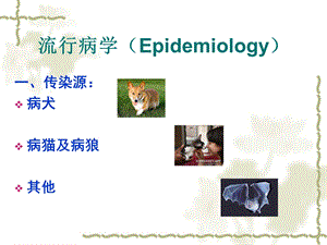 最新狂犬病病例分析PPT文档.ppt