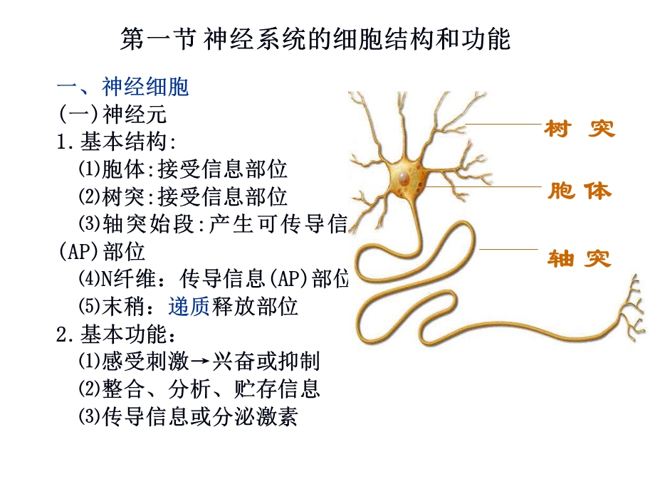 8第八章神经系统PPT课件.ppt_第1页