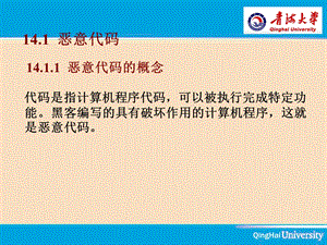 第12章恶意代码与计算机病毒的防治PPT文档.ppt