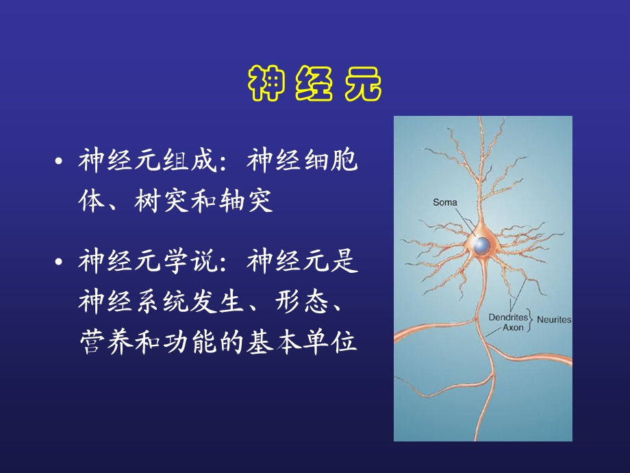 最新：3脑结构与认知PPT文档.ppt_第1页